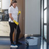 Ultra Spin Mini - Σύστημα Σφουγγαρίσματος Vileda® - Image 3